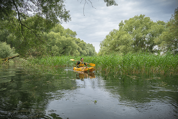 kayak en forêt immergée kayak en forêt immergée