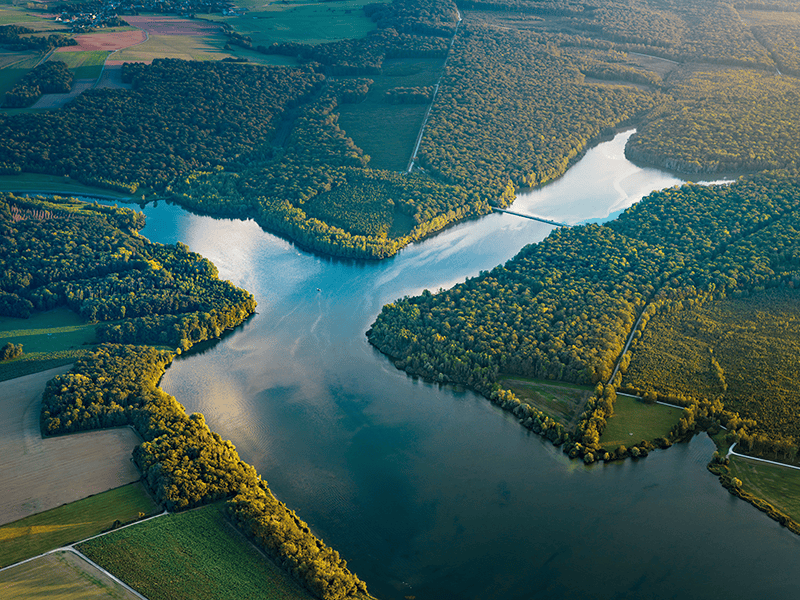 Lacs de la forêt d'Orient 2 - © Studio OG Lac du Temple vue du ciel
