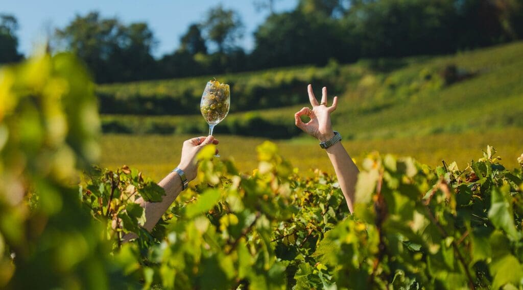 vignes de Montgueux